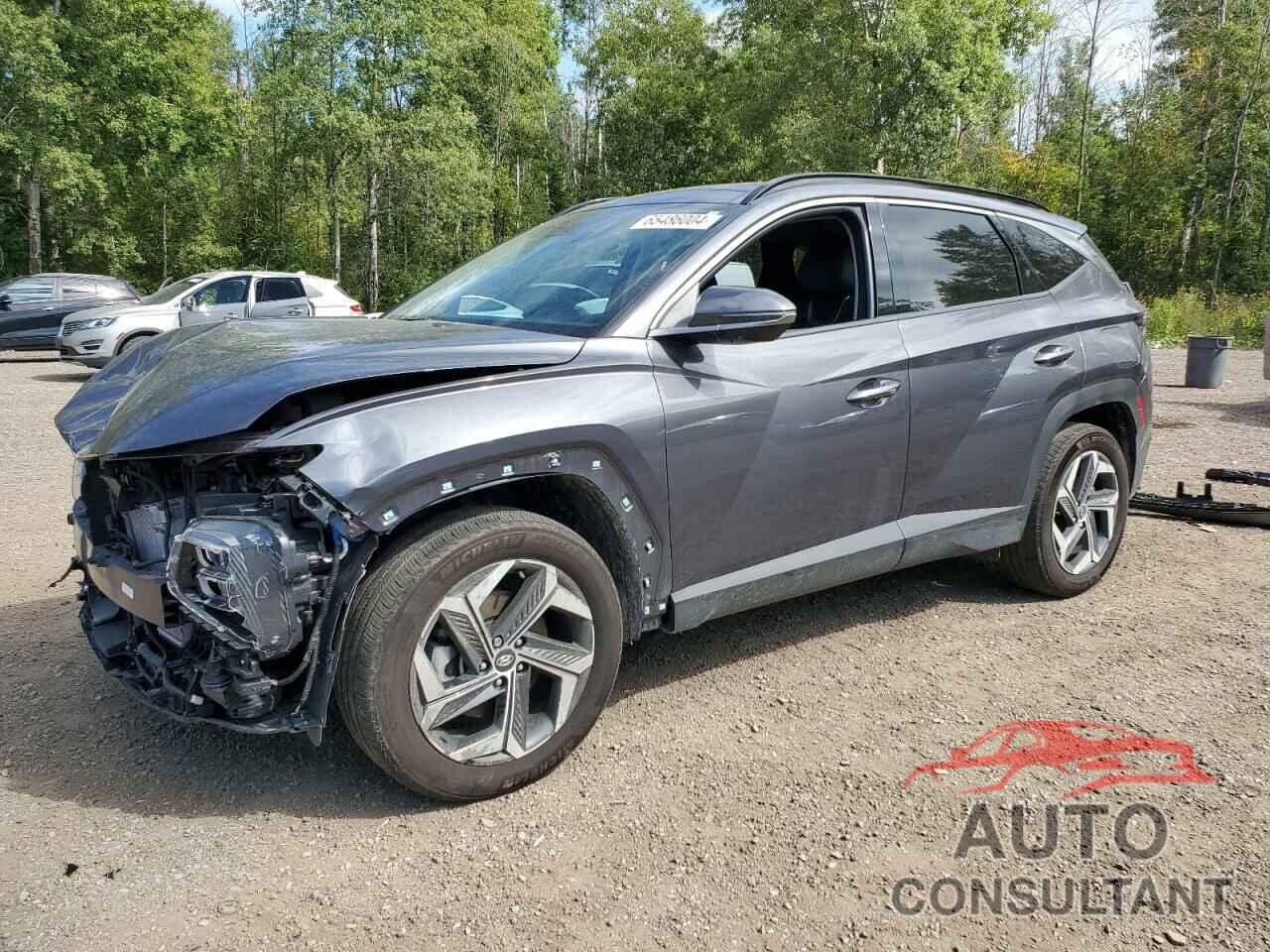 HYUNDAI TUCSON 2023 - KM8JCCA16PU104155