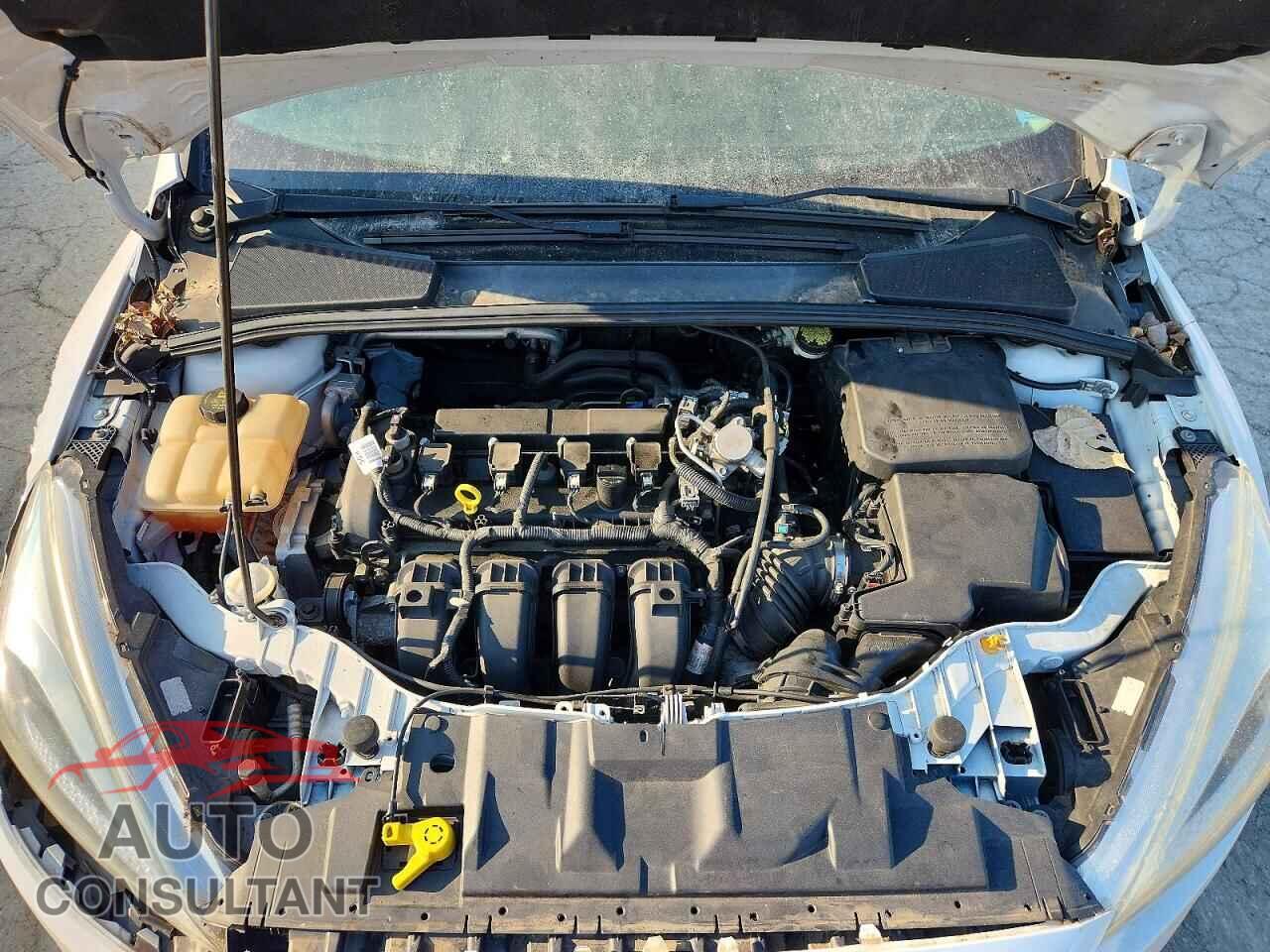 FORD FOCUS 2016 - 1FADP3F24GL320265