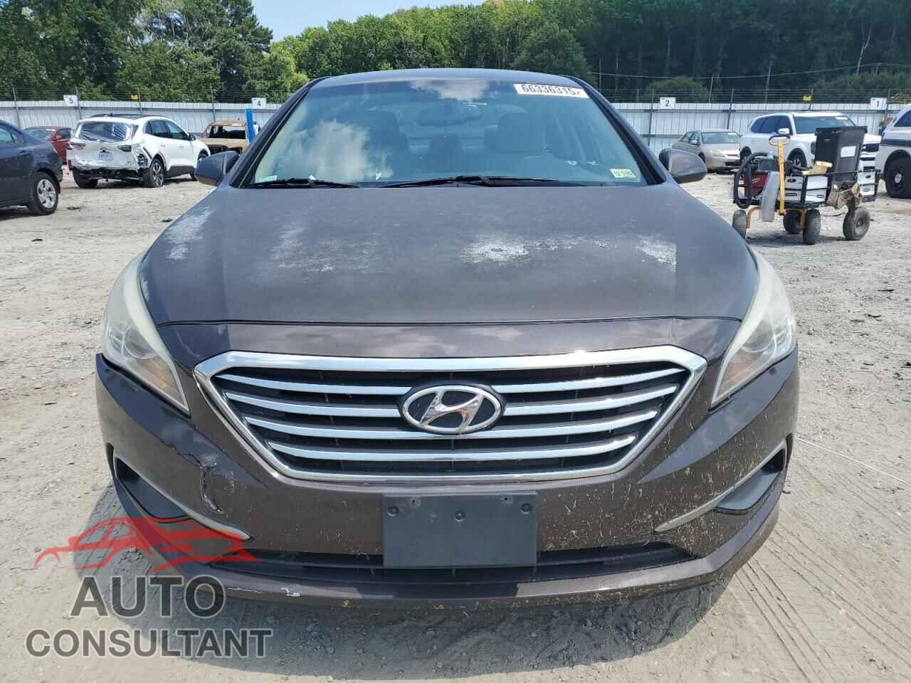 HYUNDAI SONATA 2016 - 5NPE24AF2GH283699
