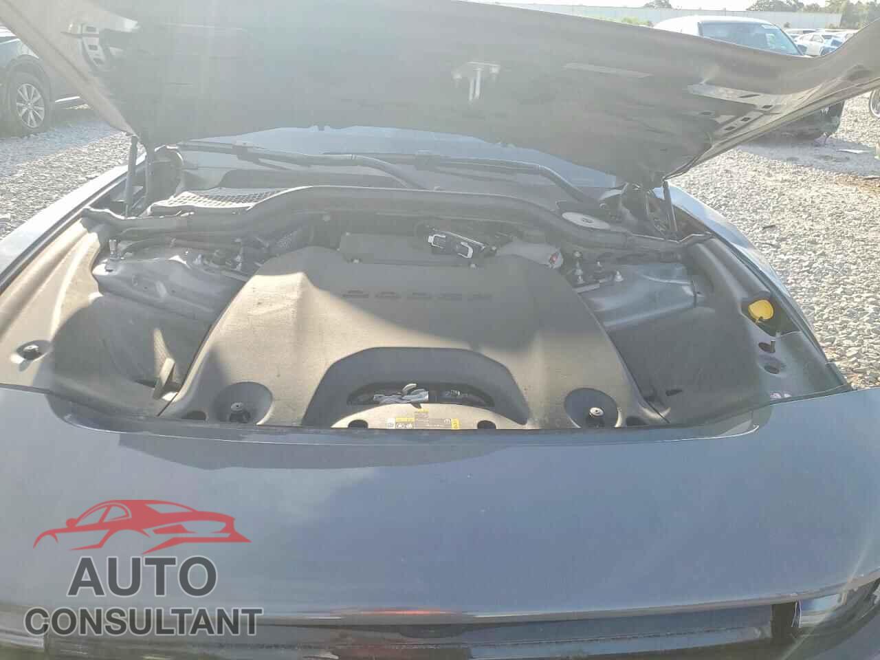 DODGE CHARGER 2025 - 2C3CDBCK7SR559343