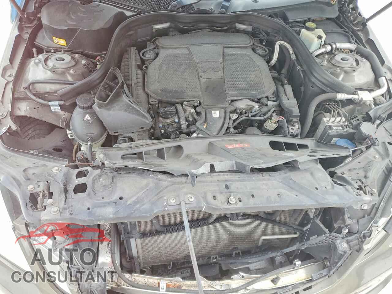 MERCEDES-BENZ E-CLASS 2013 - WDDHF5KB9DA704216