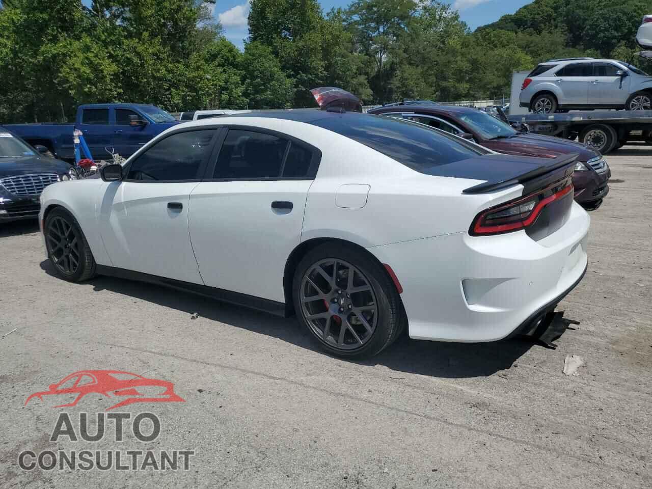 DODGE CHARGER 2017 - 2C3CDXGJ6HH541011