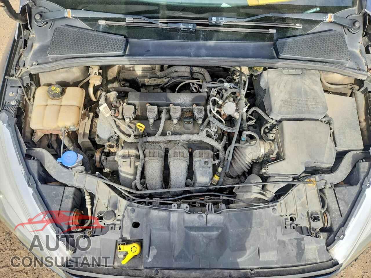 FORD FOCUS 2016 - 1FADP3K29GL333339