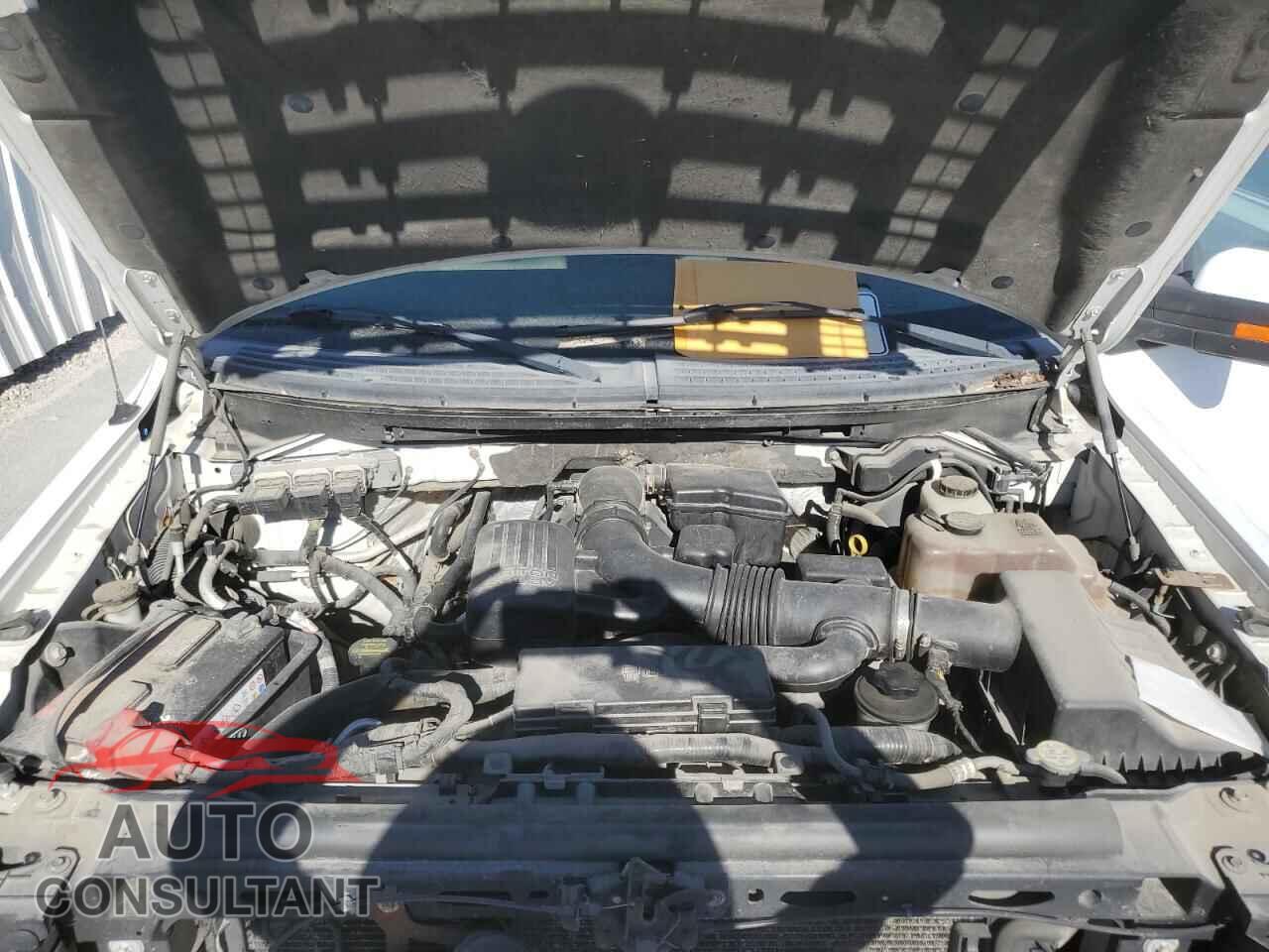 FORD F-150 2010 - 1FTFW1EV8AFC59045