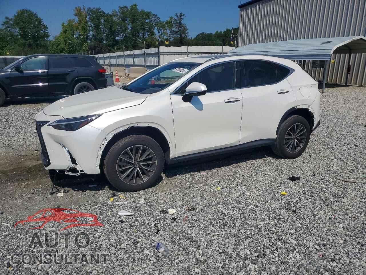 LEXUS NX 2024 - JTJAGCEZ8R2012744