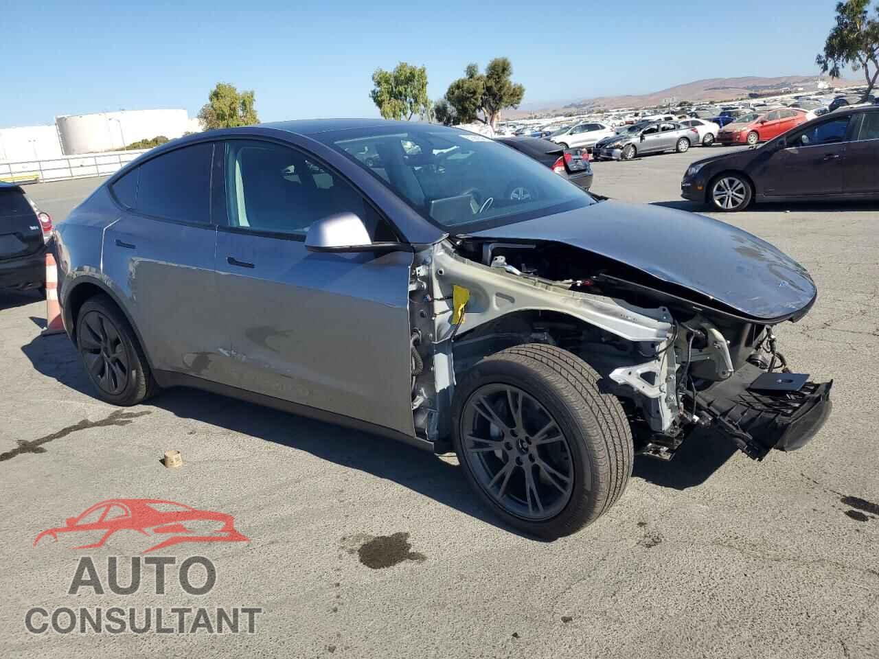 TESLA MODEL Y 2024 - 7SAYGDEE1RF190614