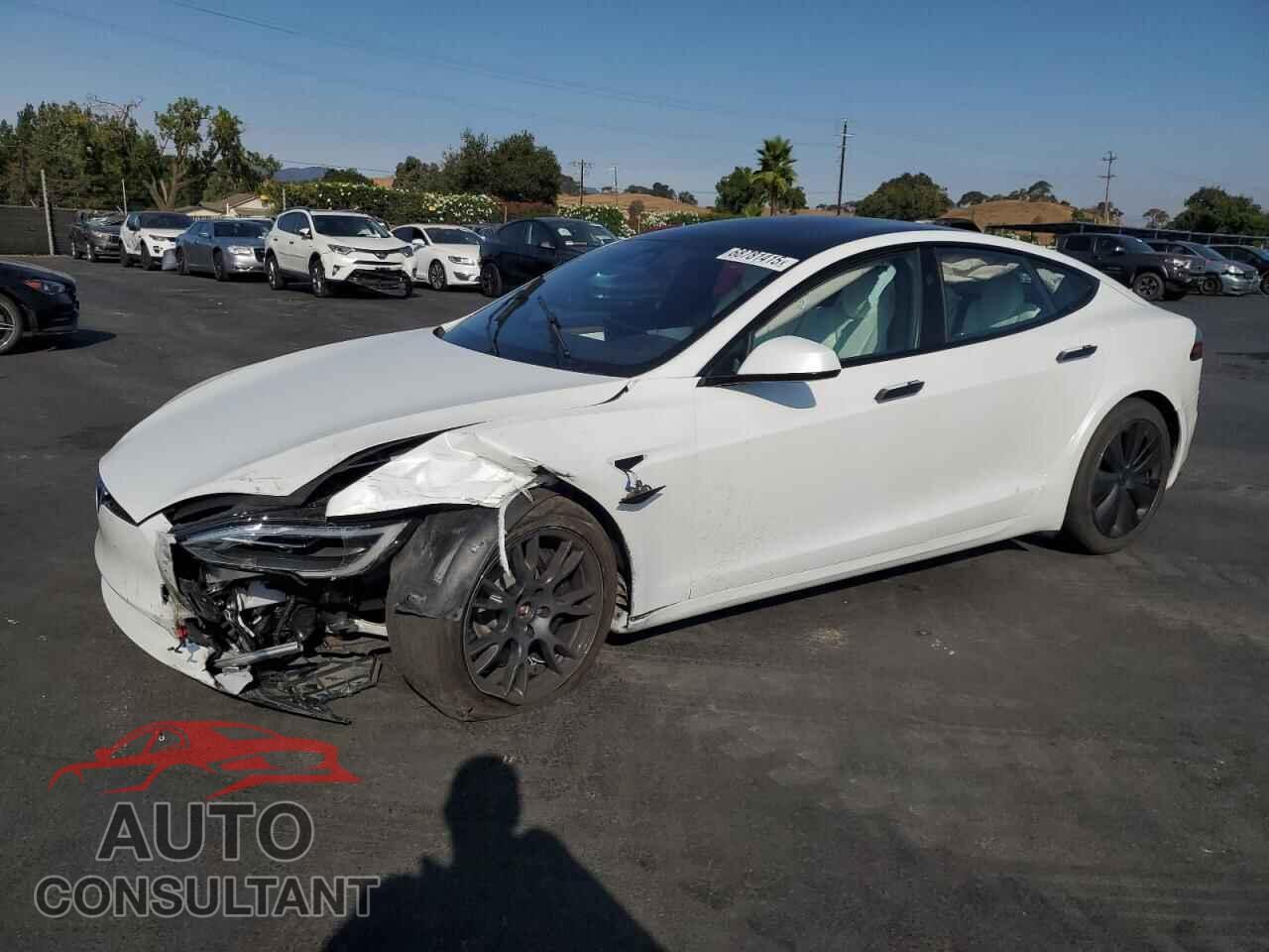 TESLA MODEL S 2024 - 5YJSA1E51RF544389