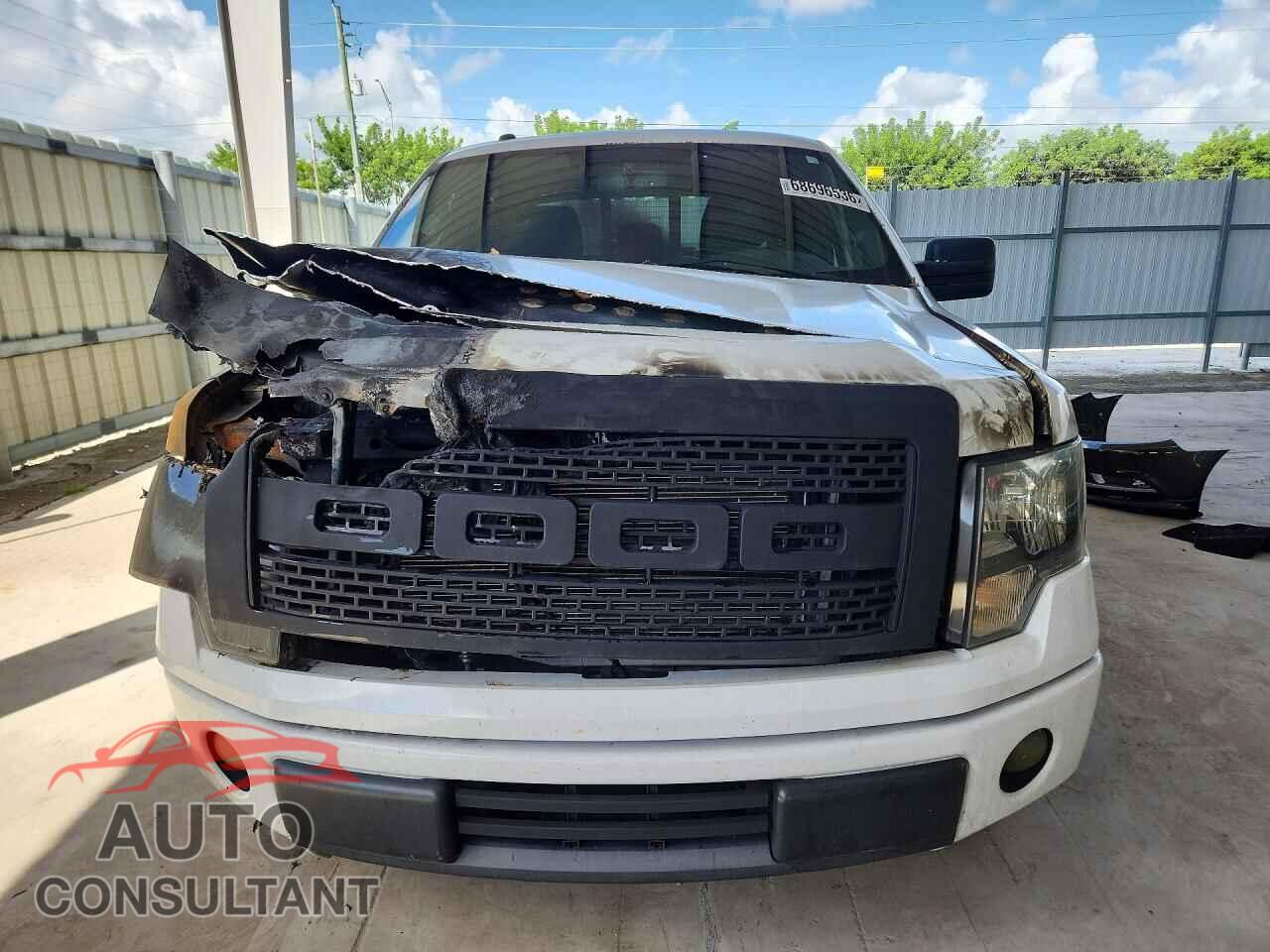 FORD F150 2011 - 1FTFW1CF1BKD24595