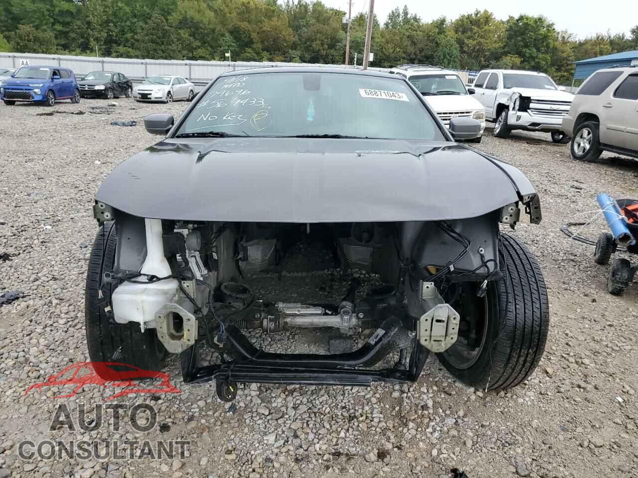 DODGE CHARGER 2019 - 2C3CDXGJ8KH569433