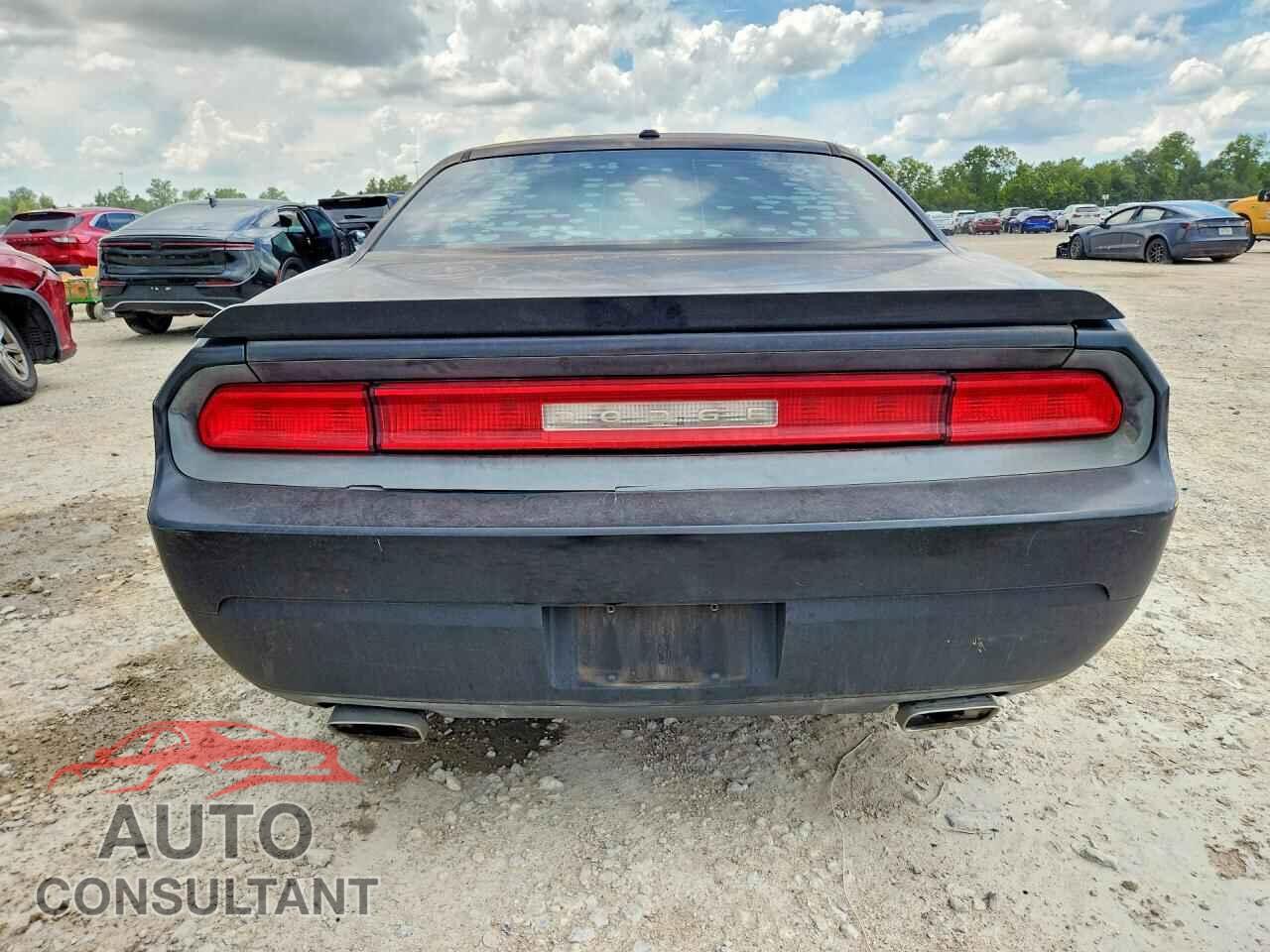 DODGE CHALLENGER 2009 - 2B3LJ54T69H640610