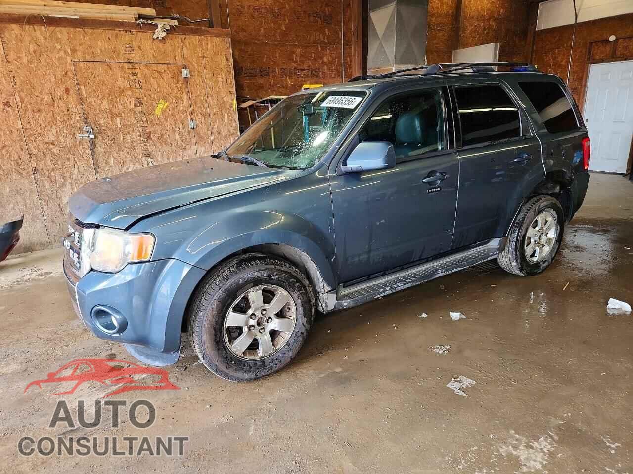 FORD ESCAPE 2010 - 1FMCU9EG9AKC88405