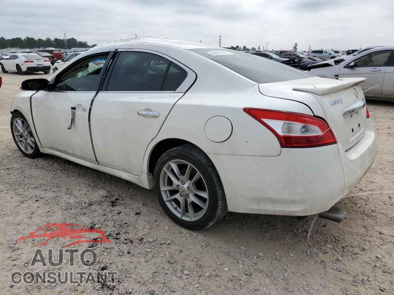 NISSAN MAXIMA 2009 - 1N4AA51E09C822226