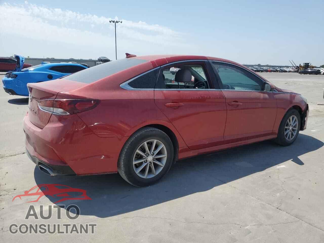 HYUNDAI SONATA 2019 - 5NPE24AF7KH751855