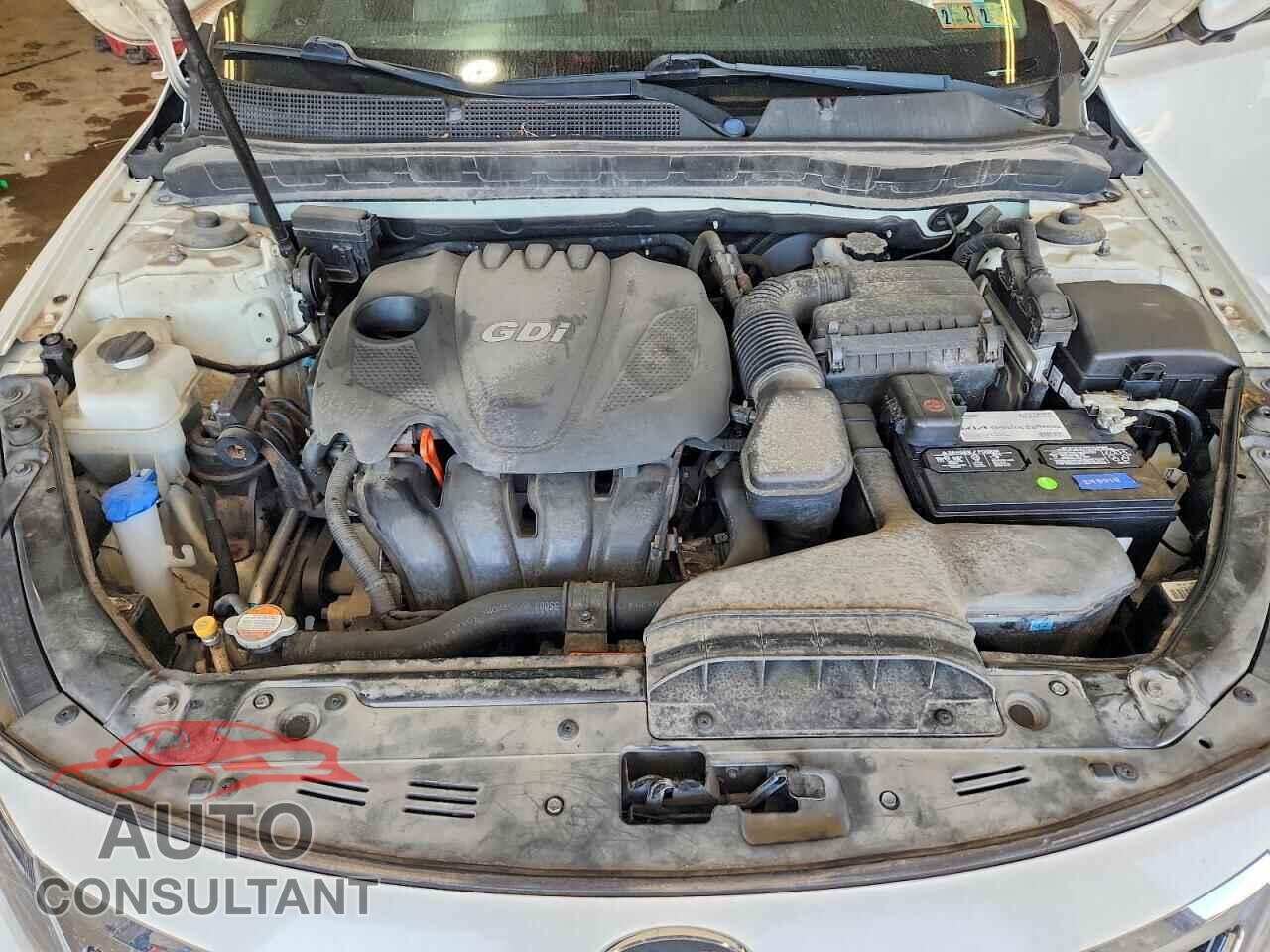 KIA OPTIMA 2011 - KNAGN4A79B5082834