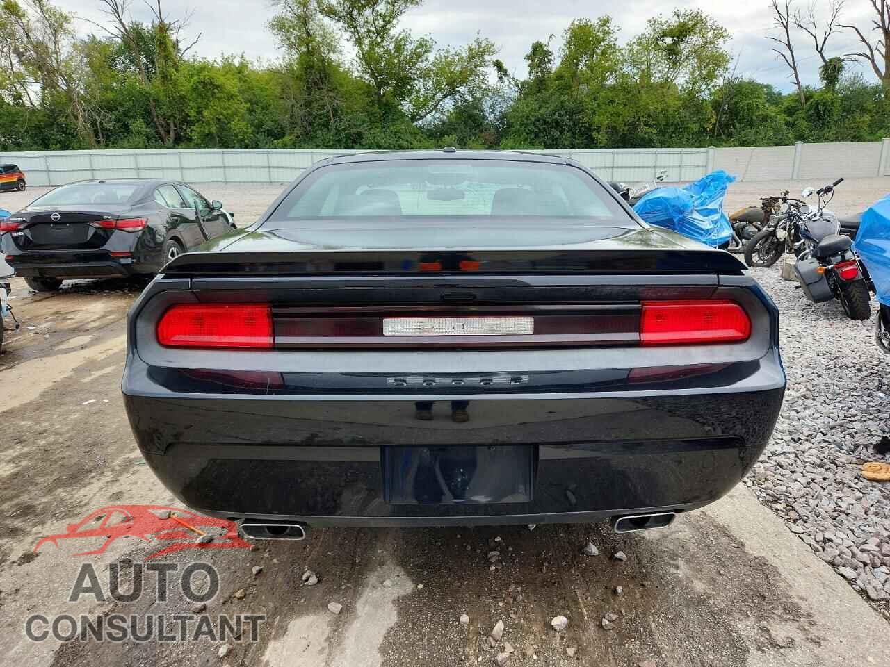 DODGE CHALLENGER 2012 - 2C3CDYBTXCH291246