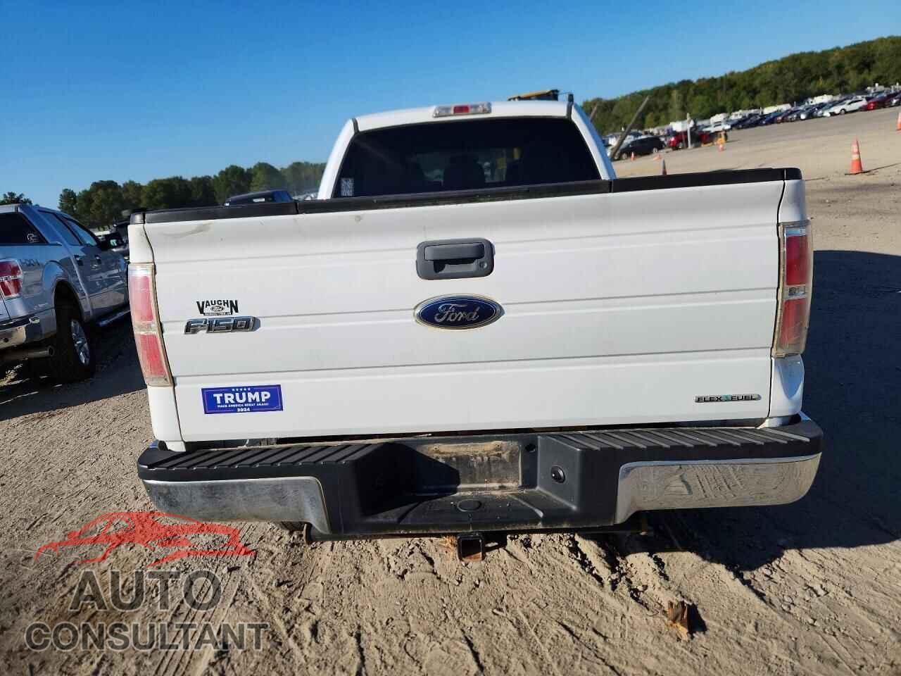 FORD F150 2011 - 1FTFX1EF1BFA04101