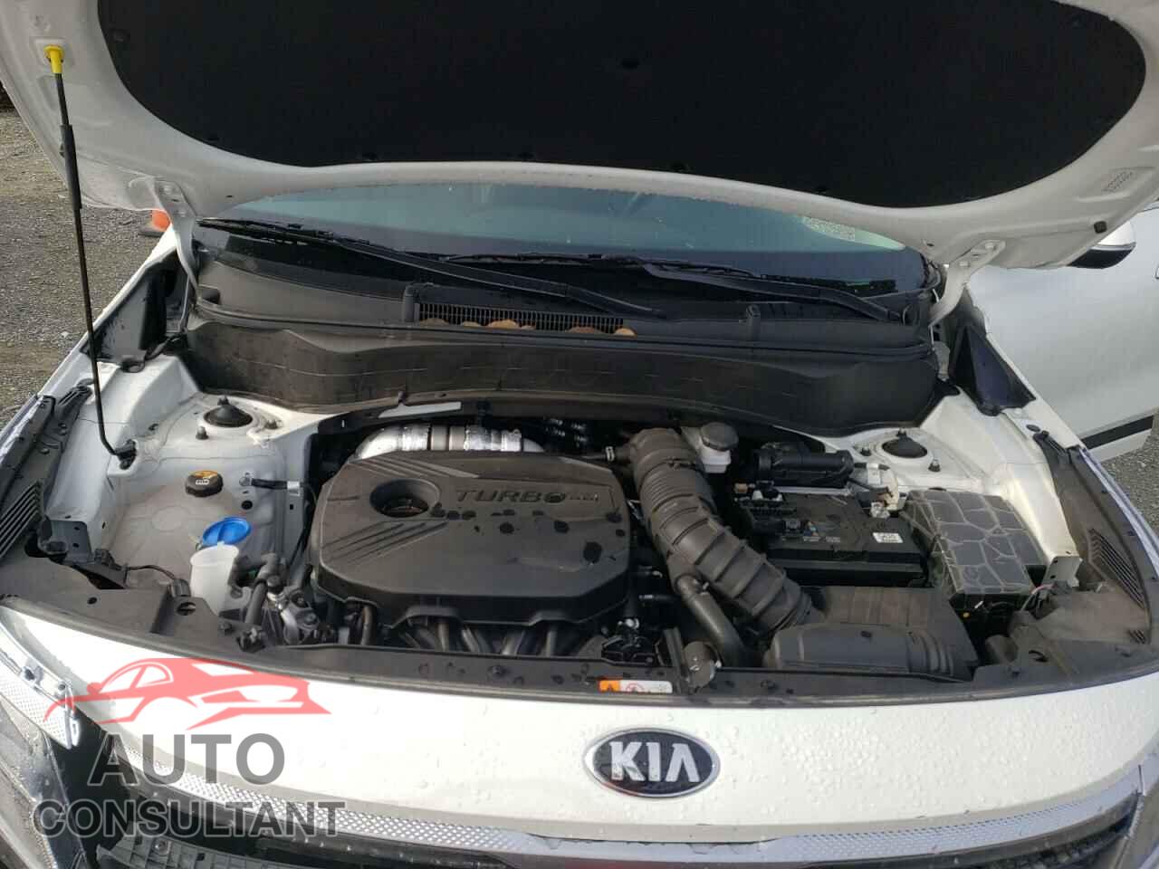 KIA SELTOS 2021 - KNDETCA26M7204202