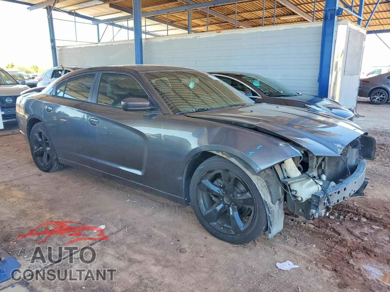 DODGE CHARGER 2014 - 2C3CDXHG5EH295437