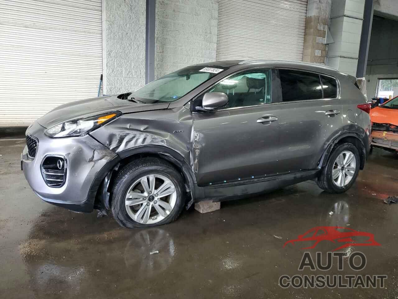 KIA SPORTAGE 2019 - KNDPMCAC6K7523272