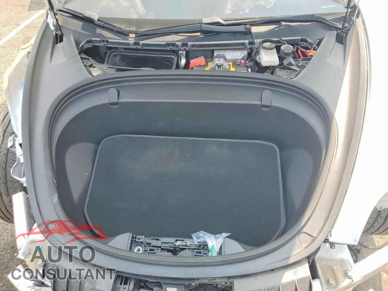 TESLA MODEL 3 2019 - 5YJ3E1EB0KF359545