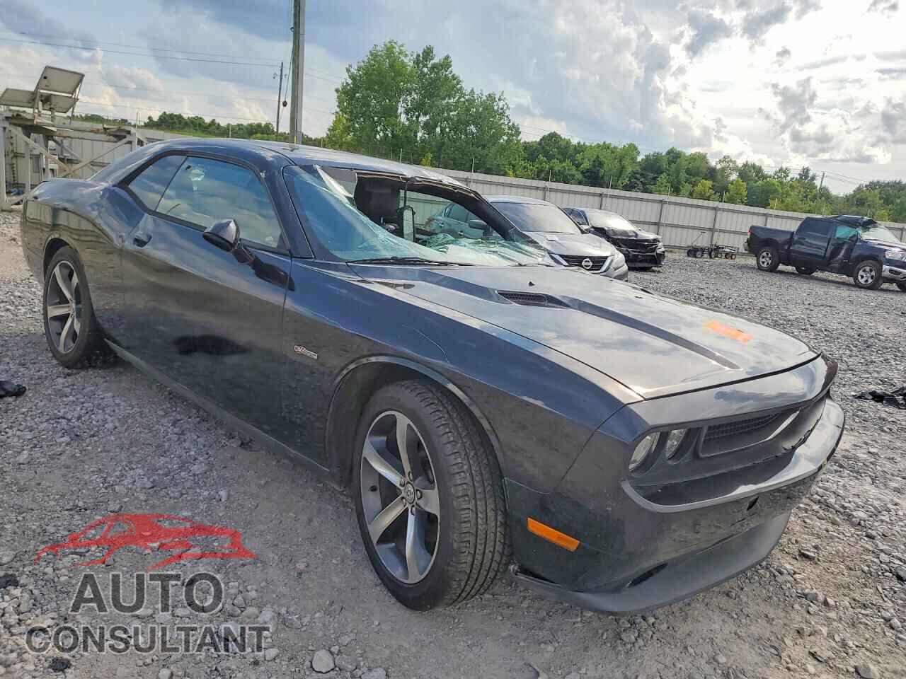 DODGE CHALLENGER 2014 - 2C3CDYAGXEH225593