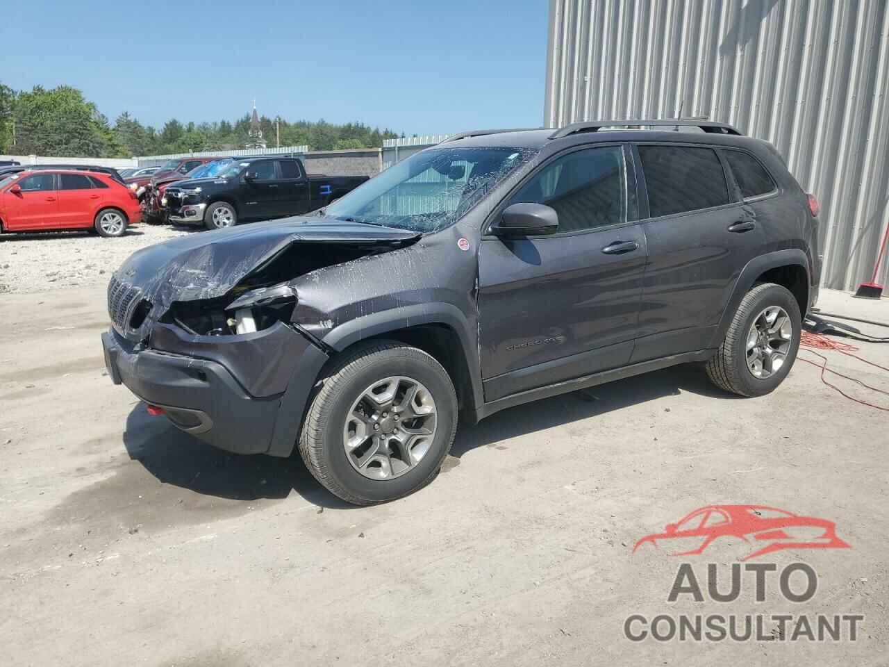 JEEP CHEROKEE 2019 - 1C4PJMBX0KD361639
