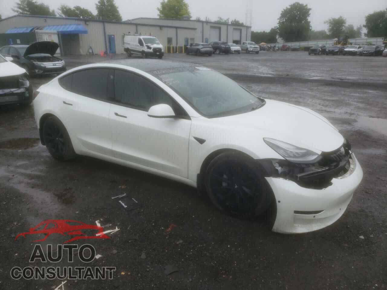 TESLA MODEL 3 2021 - 5YJ3E1EB9MF862526