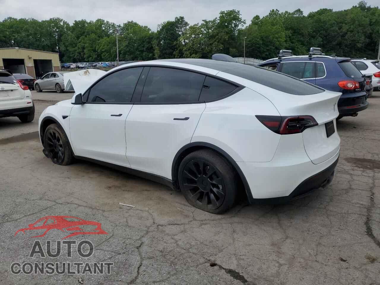 TESLA MODEL Y 2024 - 7SAYGDED1RF094232