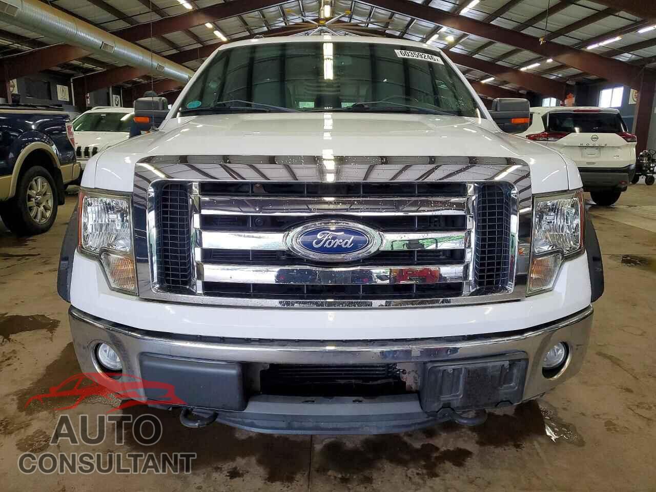 FORD F150 2011 - 1FTFX1ET5BFC98916