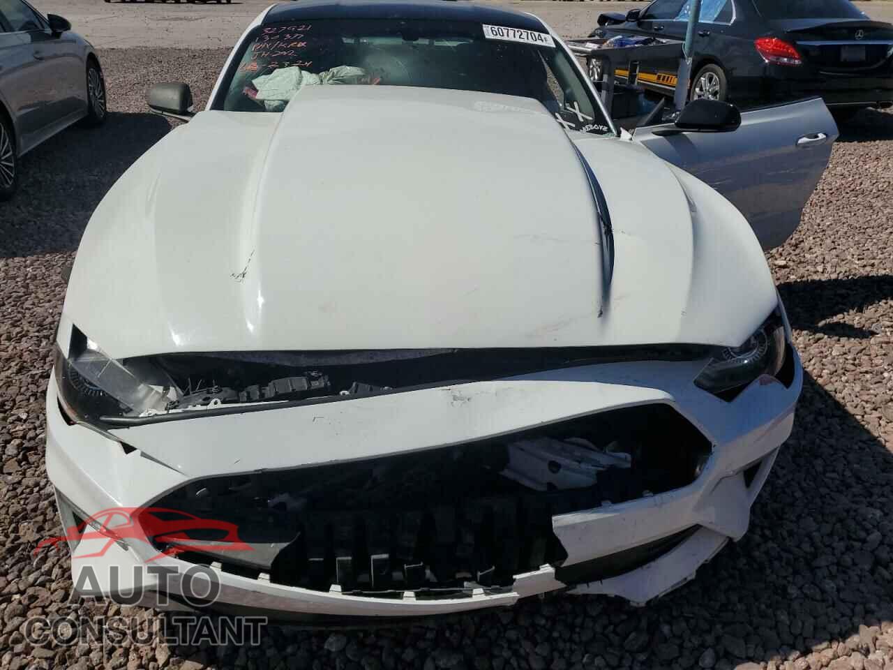 FORD MUSTANG 2019 - 1FA6P8CF3K5130337