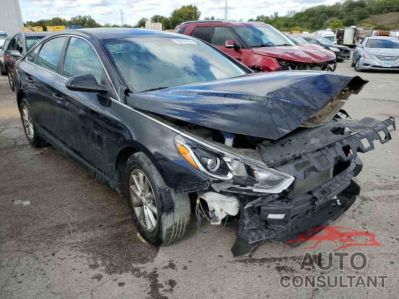 HYUNDAI SONATA 2019 - 5NPE24AF9KH782640
