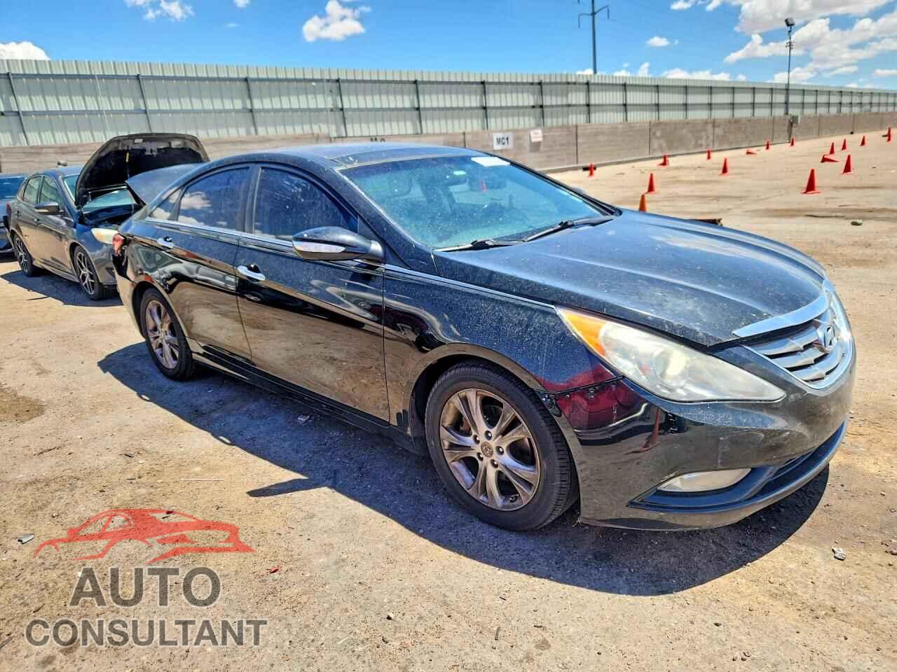 HYUNDAI SONATA 2013 - 5NPEC4AC5DH619585