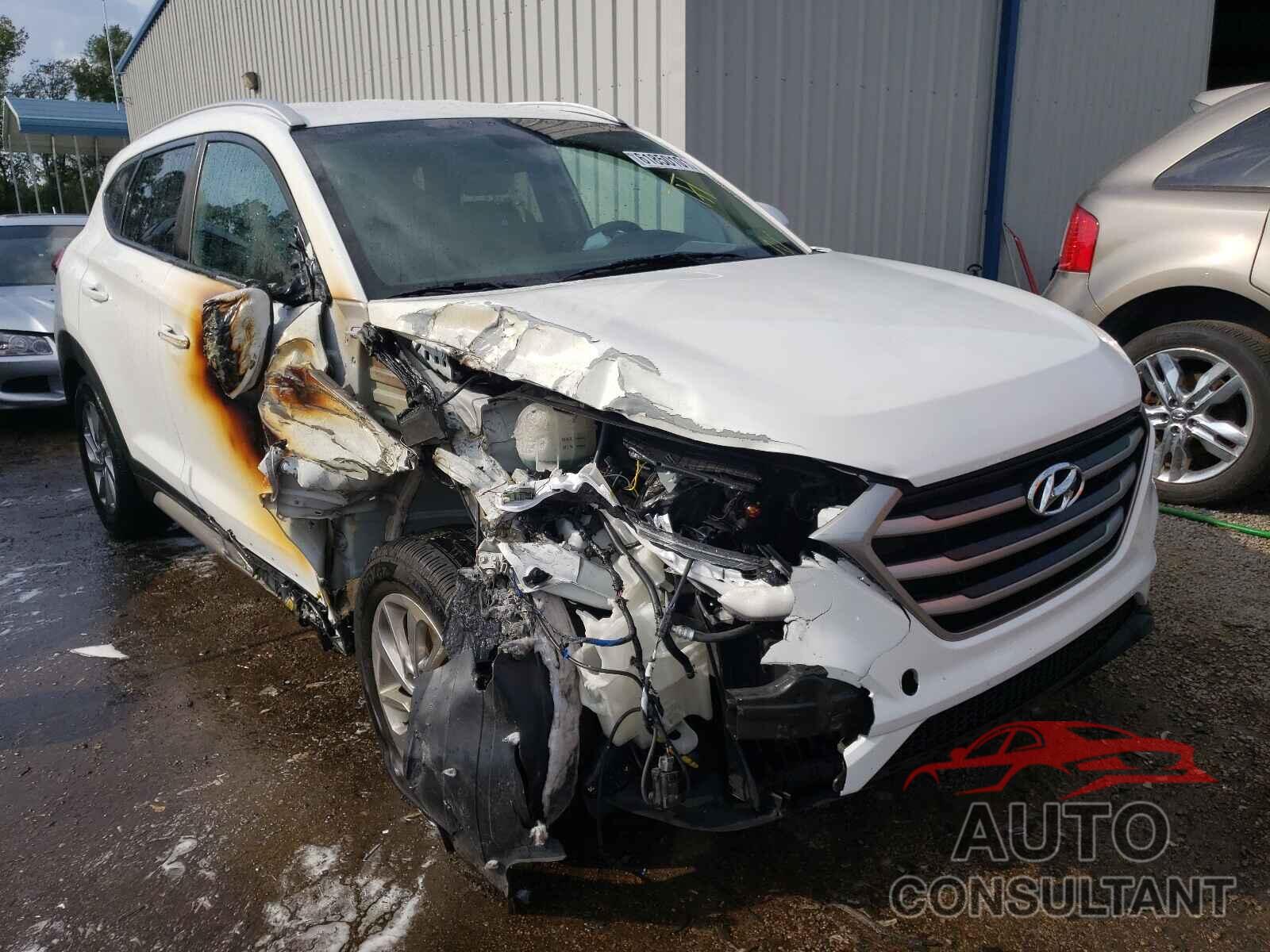 HYUNDAI TUCSON 2017 - KM8J33A48HU529100