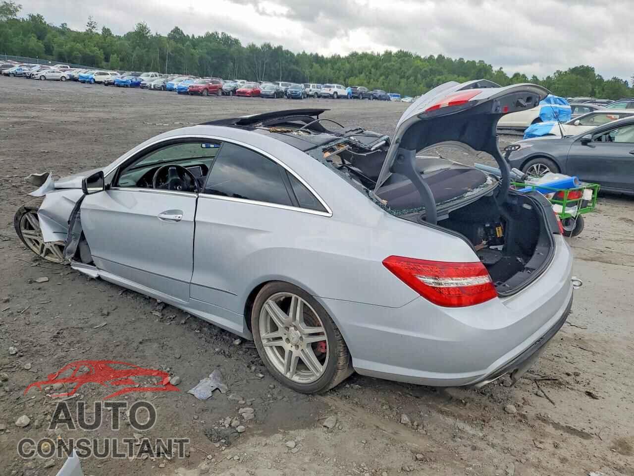 MERCEDES-BENZ E-CLASS 2010 - WDDKJ7CB6AF037893