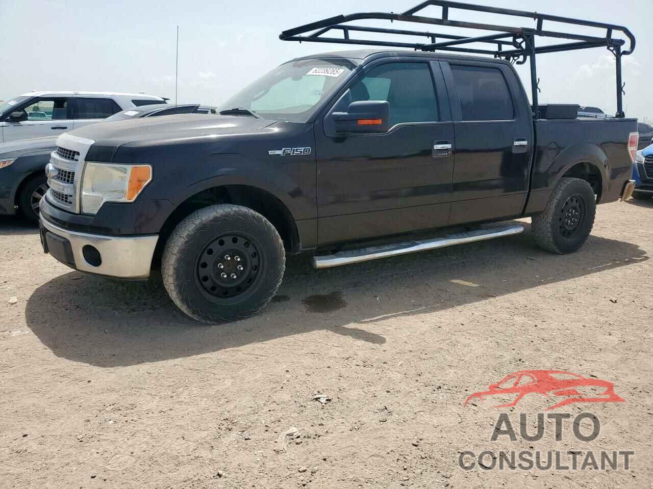 FORD F-150 2013 - 1FTFW1CF8DKD06033