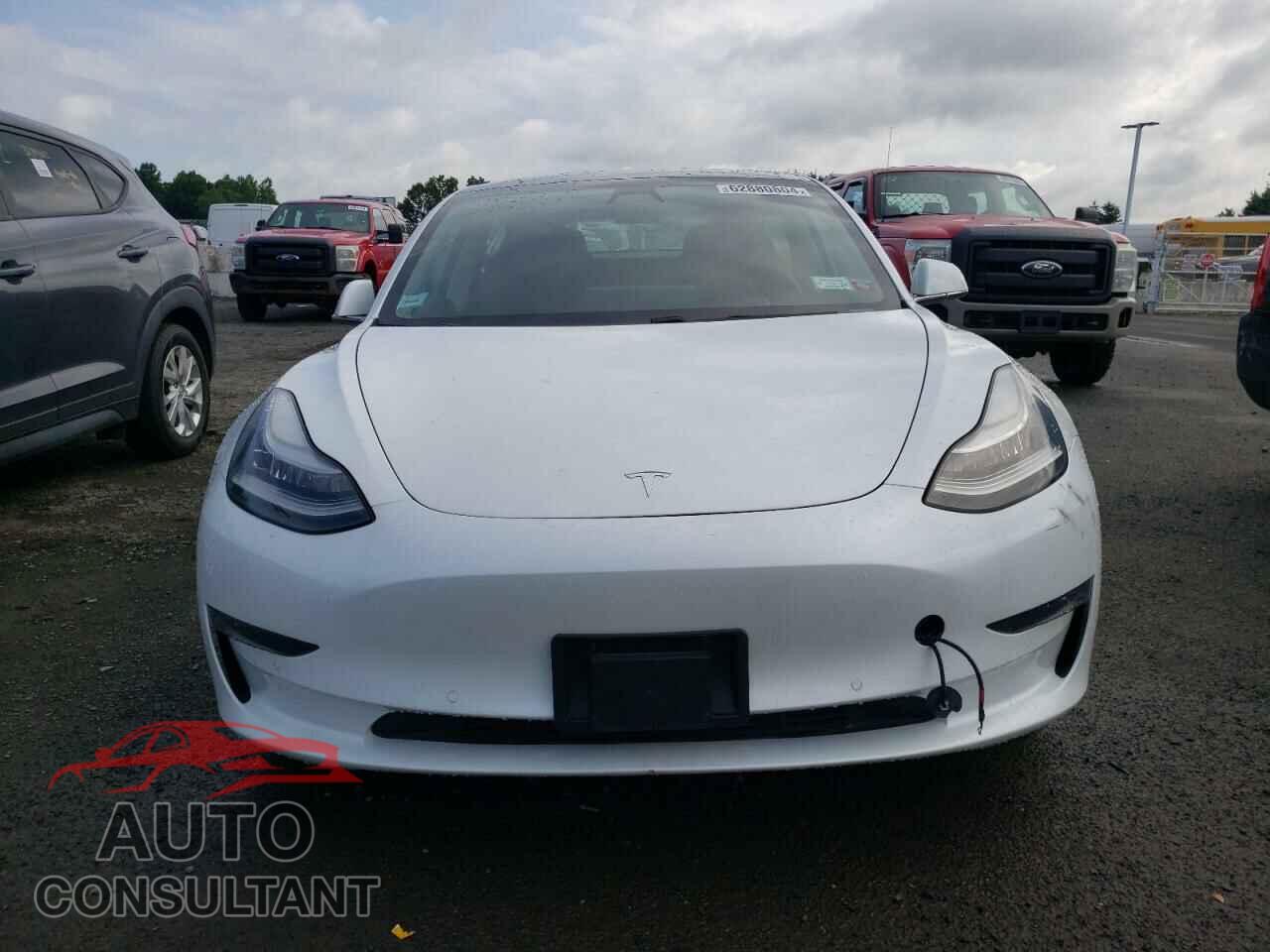TESLA MODEL 3 2019 - 5YJ3E1EB7KF493713