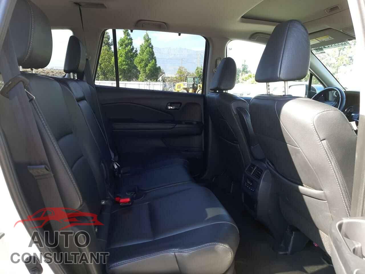 HONDA PILOT 2019 - 5FNYF5H50KB024351