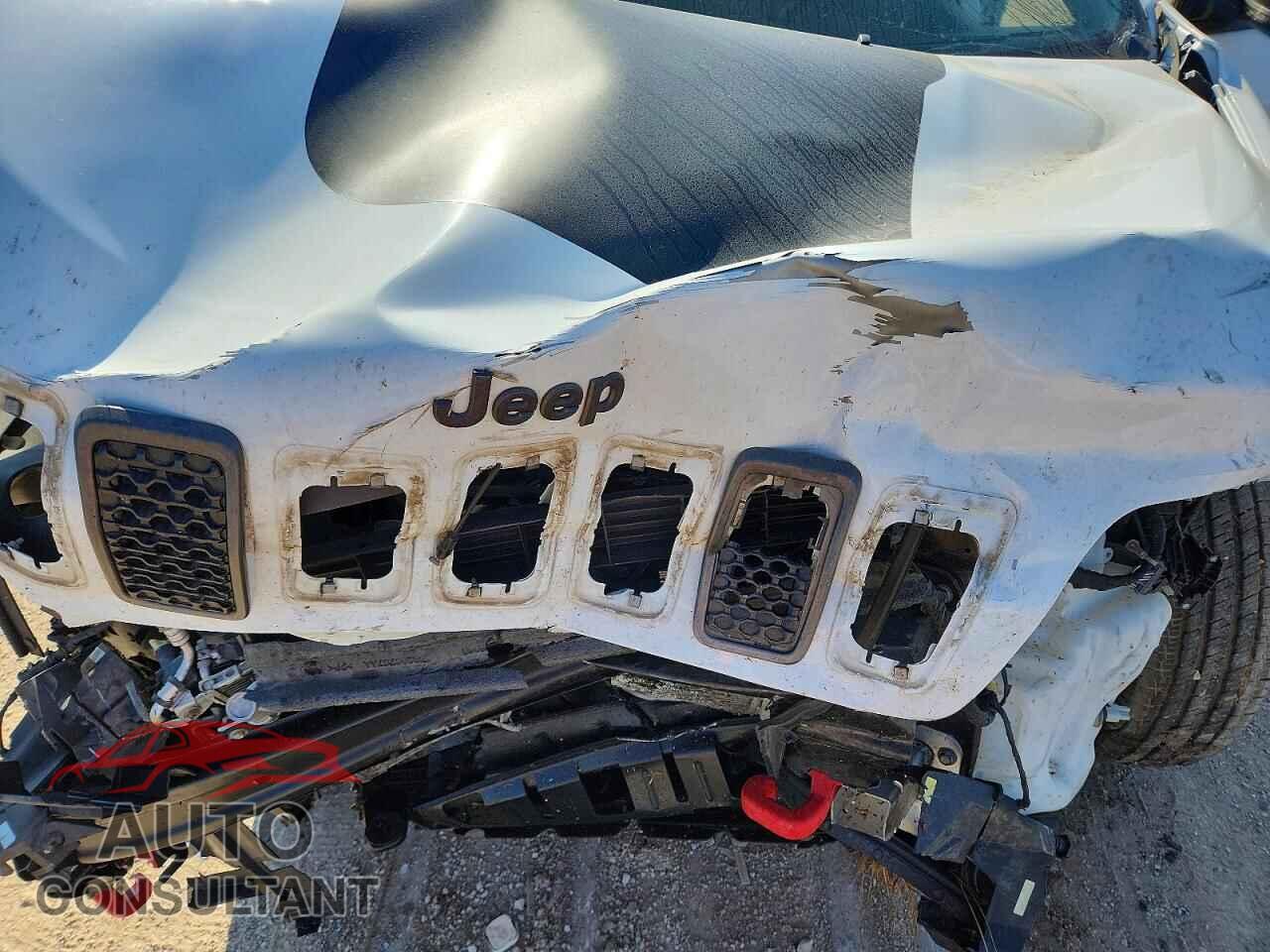 JEEP CHEROKEE 2019 - 1C4PJMBX6KD260458