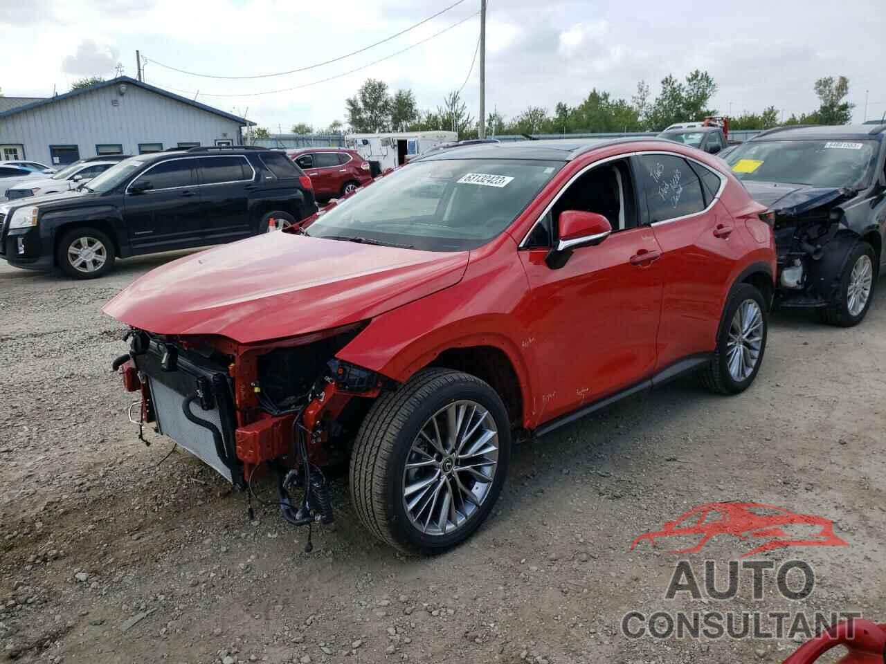 LEXUS NX 350H 2023 - 2T2HKCEZ3PC015304