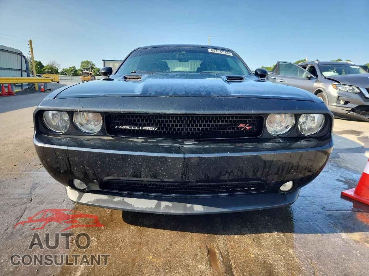DODGE CHALLENGER 2014 - 2C3CDYBT7EH205328