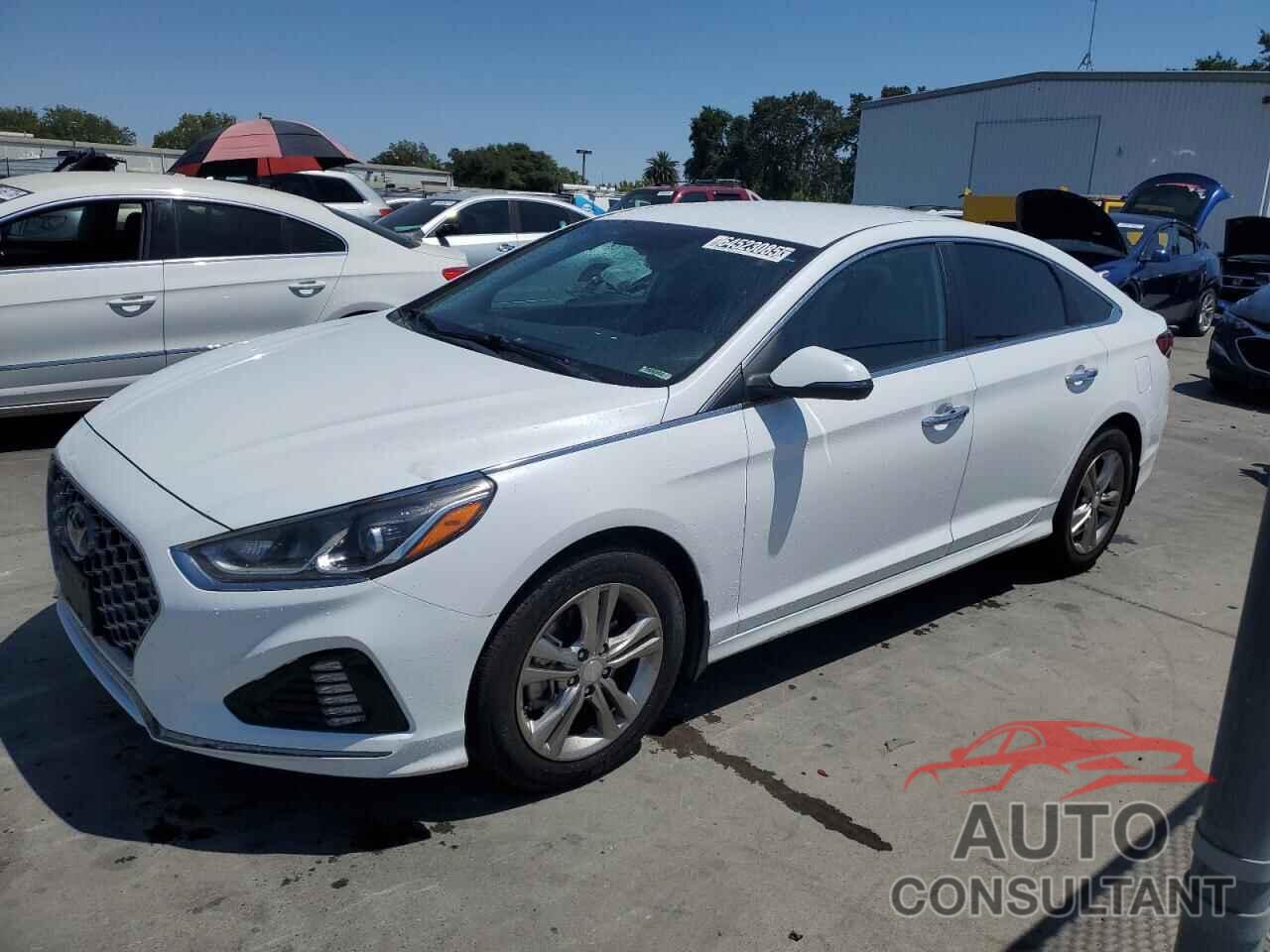 HYUNDAI SONATA 2019 - 5NPE34AF9KH817156