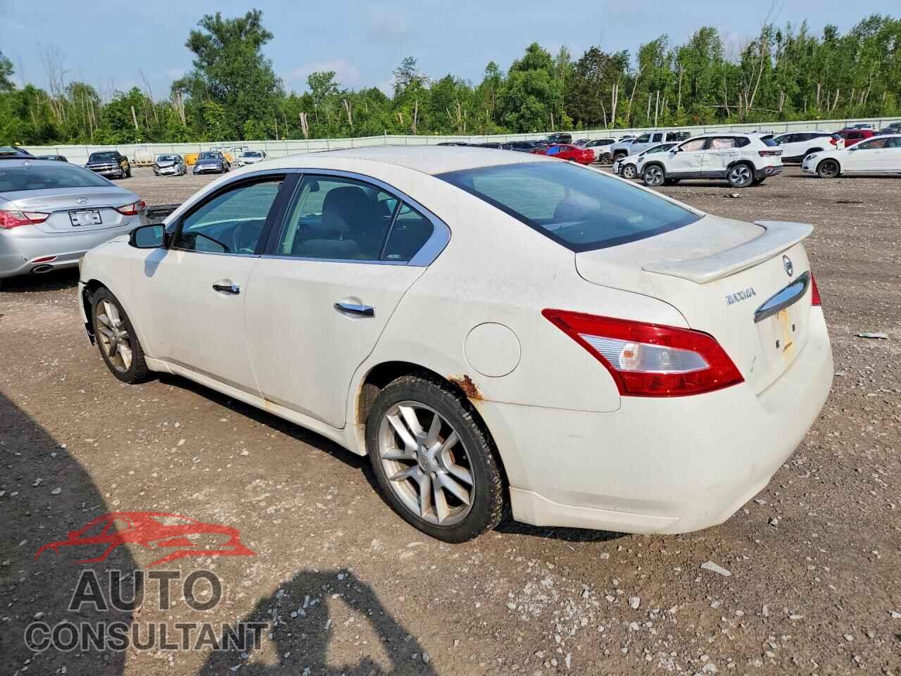 NISSAN MAXIMA 2009 - 1N4AA51E29C829954