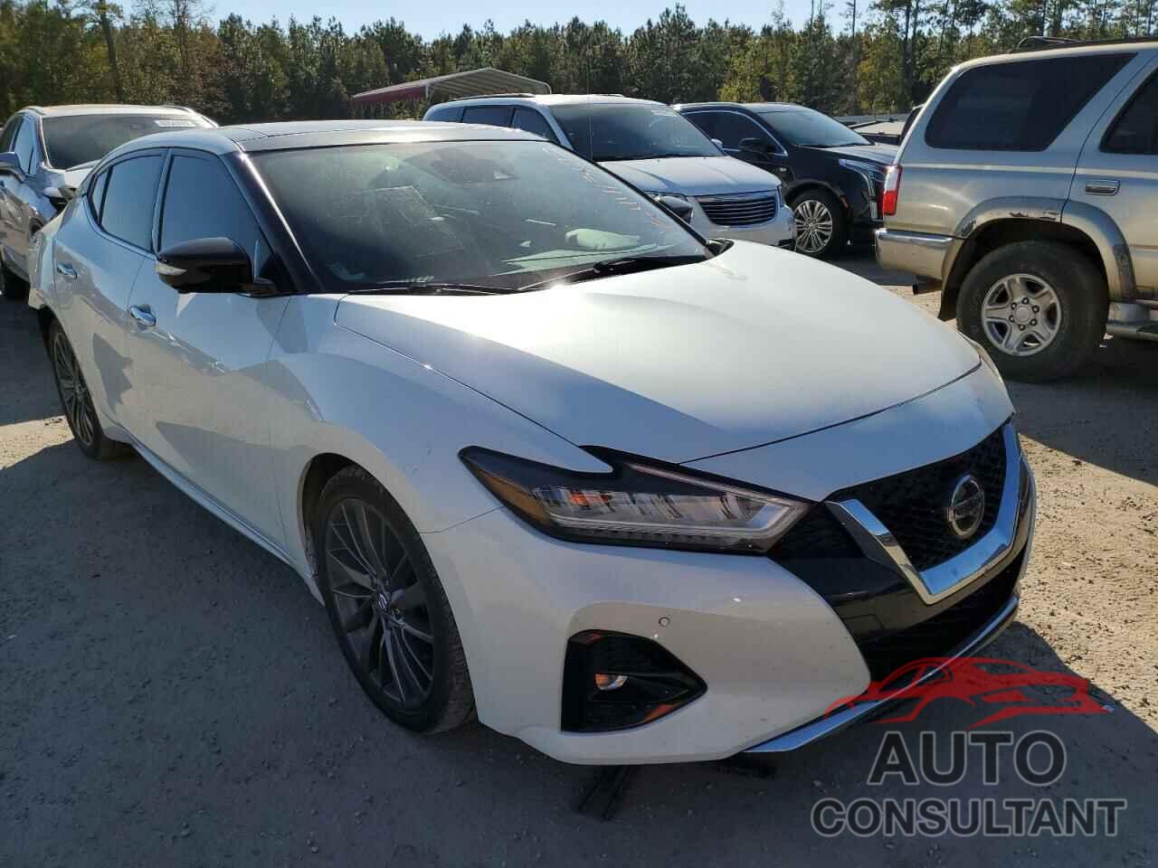 NISSAN MAXIMA 2019 - 1N4AA6AV0KC365607