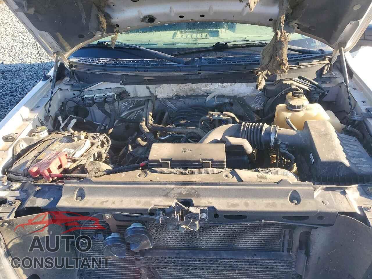 FORD F150 2012 - 1FTFW1EF4CFA84949