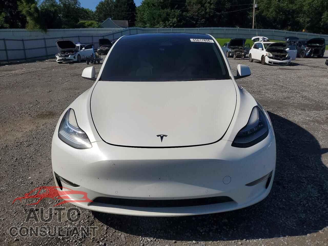 TESLA MODEL Y 2021 - 5YJYGDEE0MF244247
