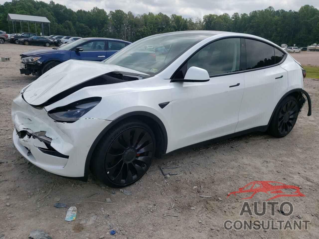 TESLA MODEL Y 2022 - 7SAYGDEF2NF378206