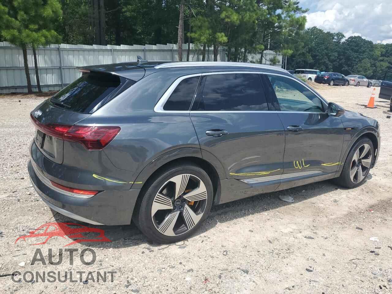 AUDI E-TRON 2019 - WA1VAAGEXKB007341