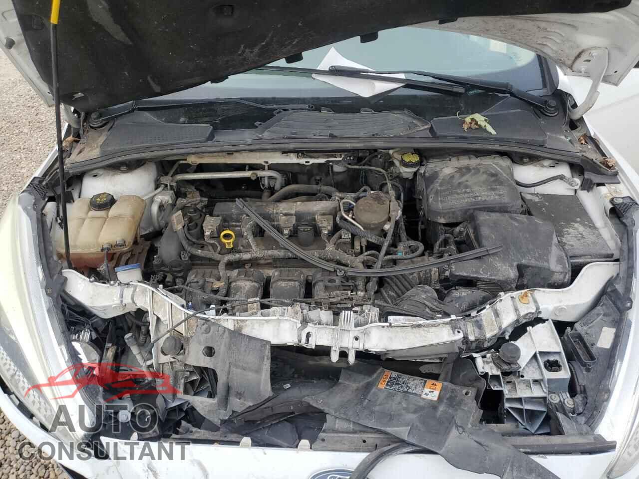 FORD FOCUS 2016 - 1FADP3F23GL247633