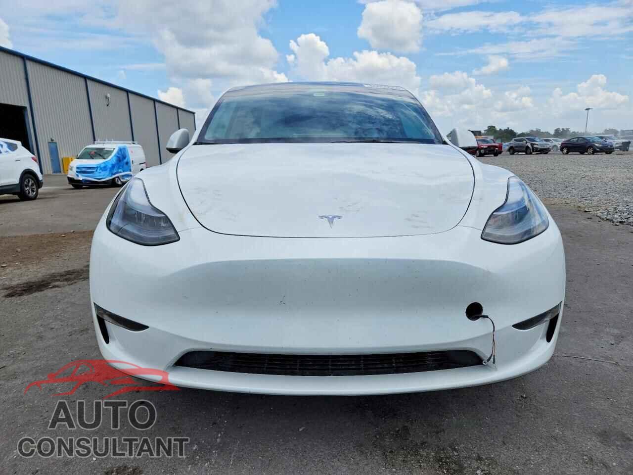 TESLA MODEL Y 2023 - 7SAYGDED1PF958399