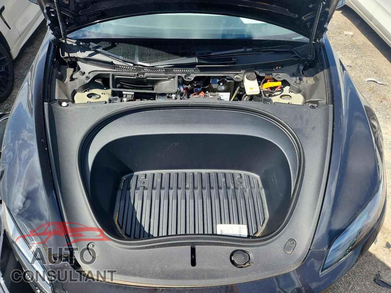 TESLA MODEL 3 2025 - 5YJ3E1EA8SF059159